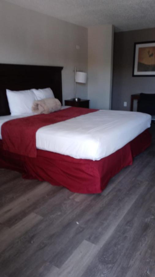 La Casa Inn New Port Richey Gulf Beach Us-19 エクステリア 写真